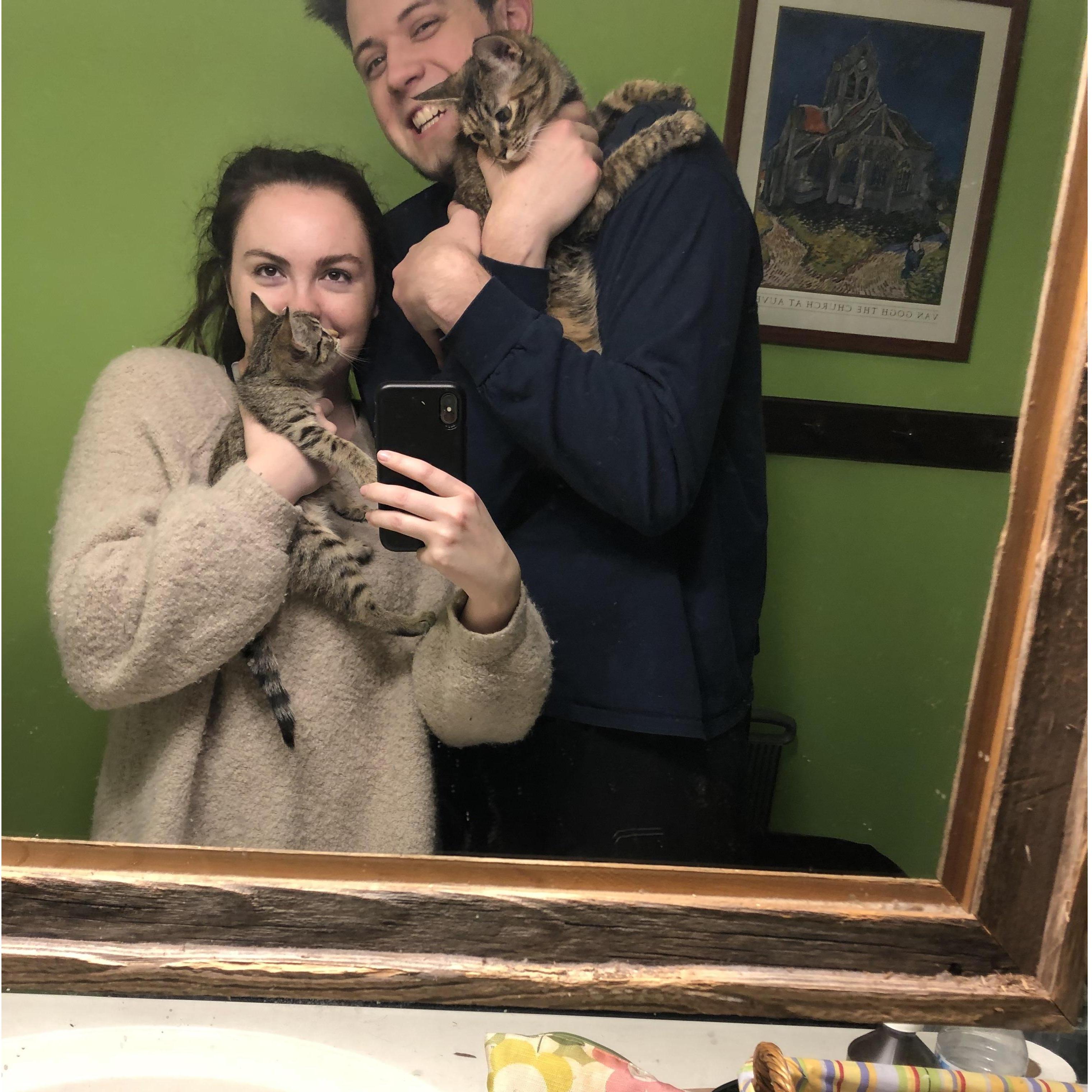 Our kittens: Andy and Jessie