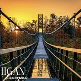 SkyBridge Michigan