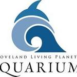 Loveland Living Planet Aquarium