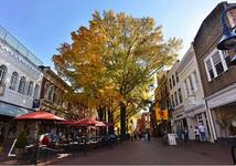 Downtown Mall