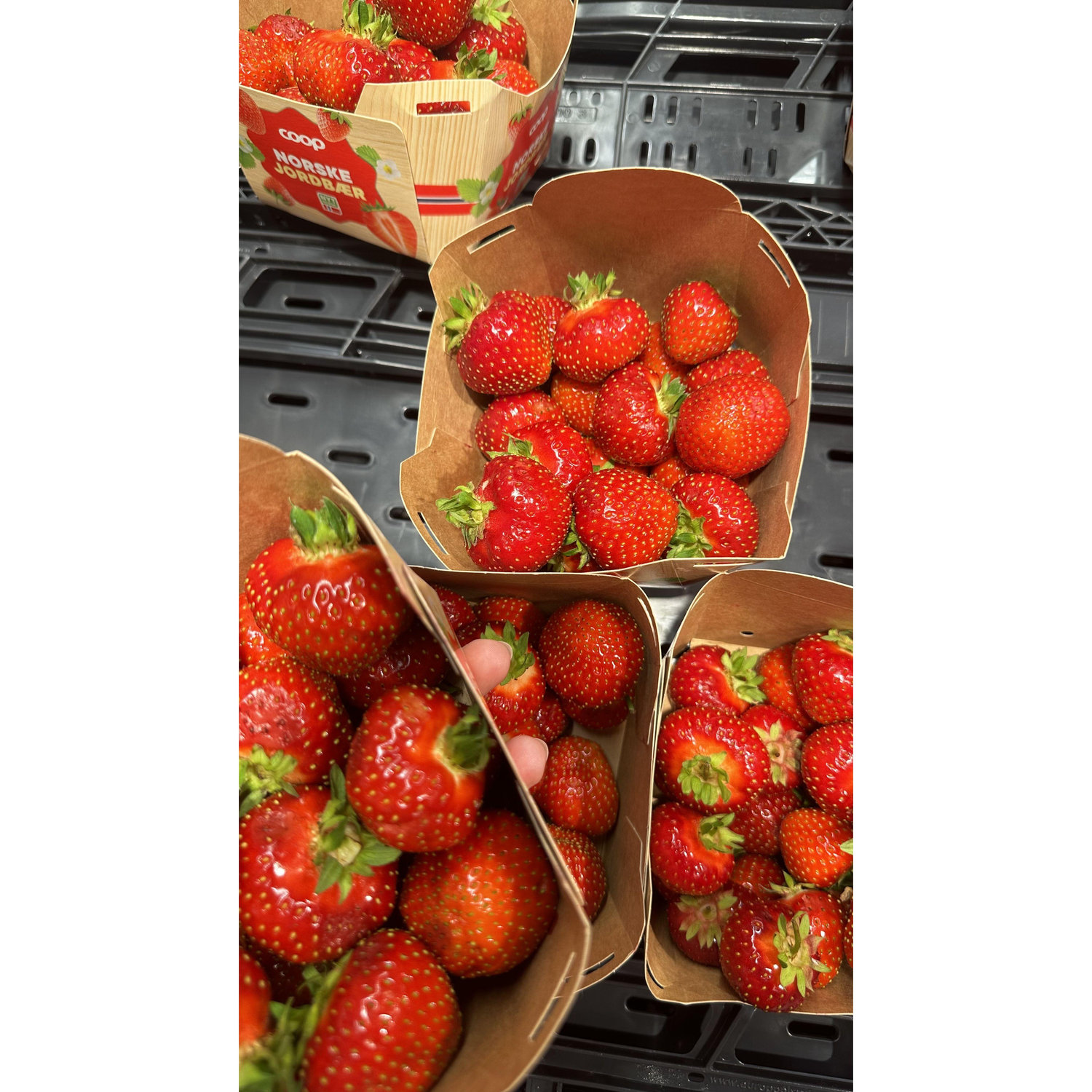 Strawberries!