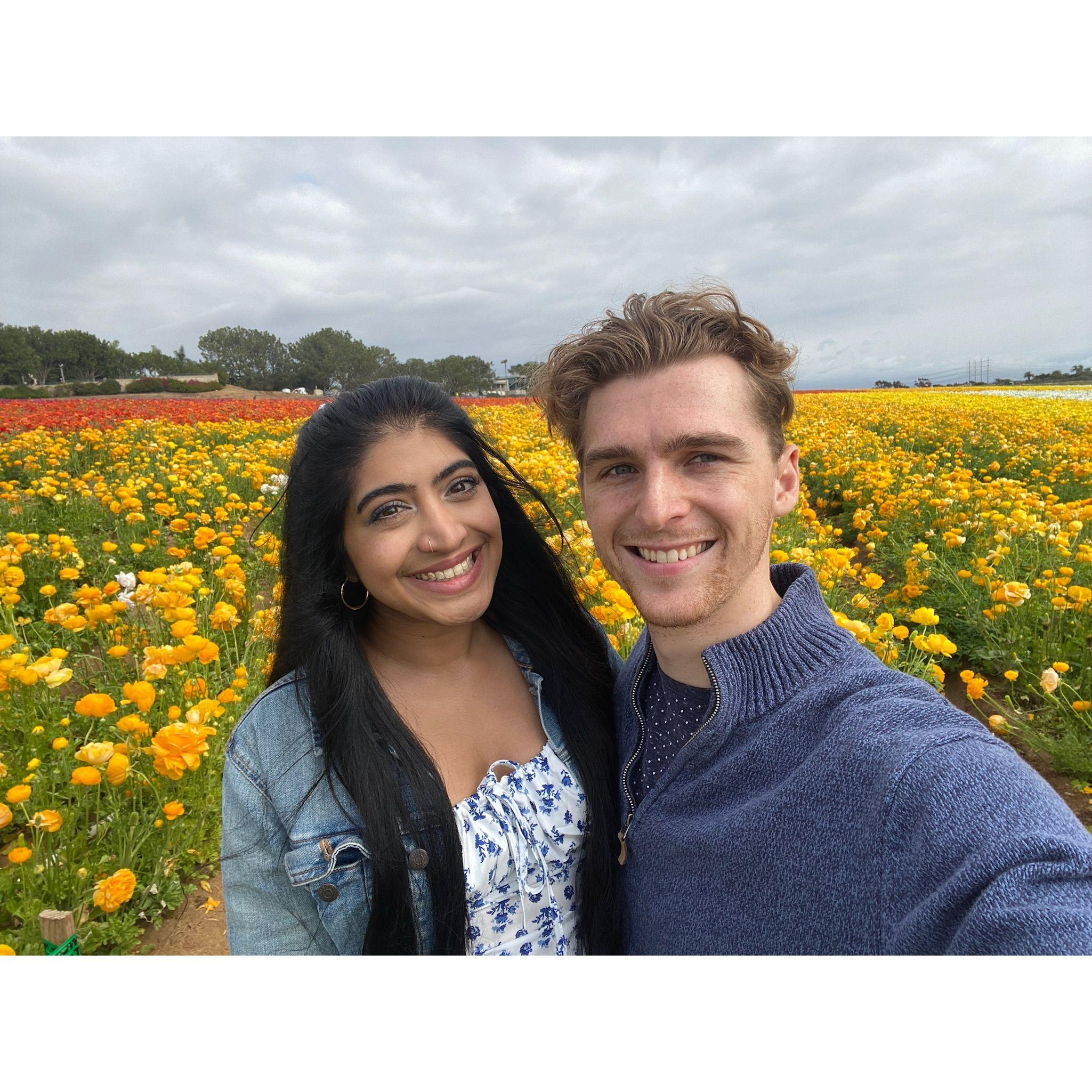 Flower Fields SD, March 2022