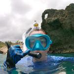 Sharks Cove (North Shore)