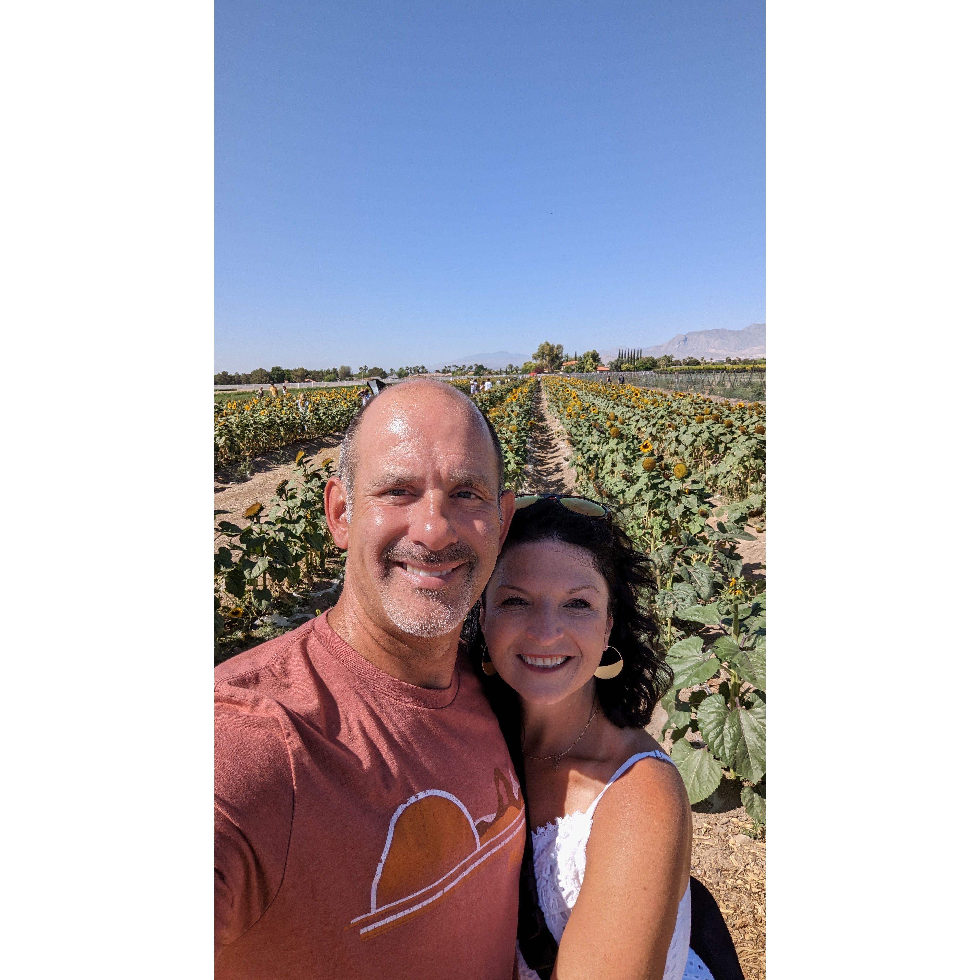 A special date in a sunflower farm, outside of Vegas.