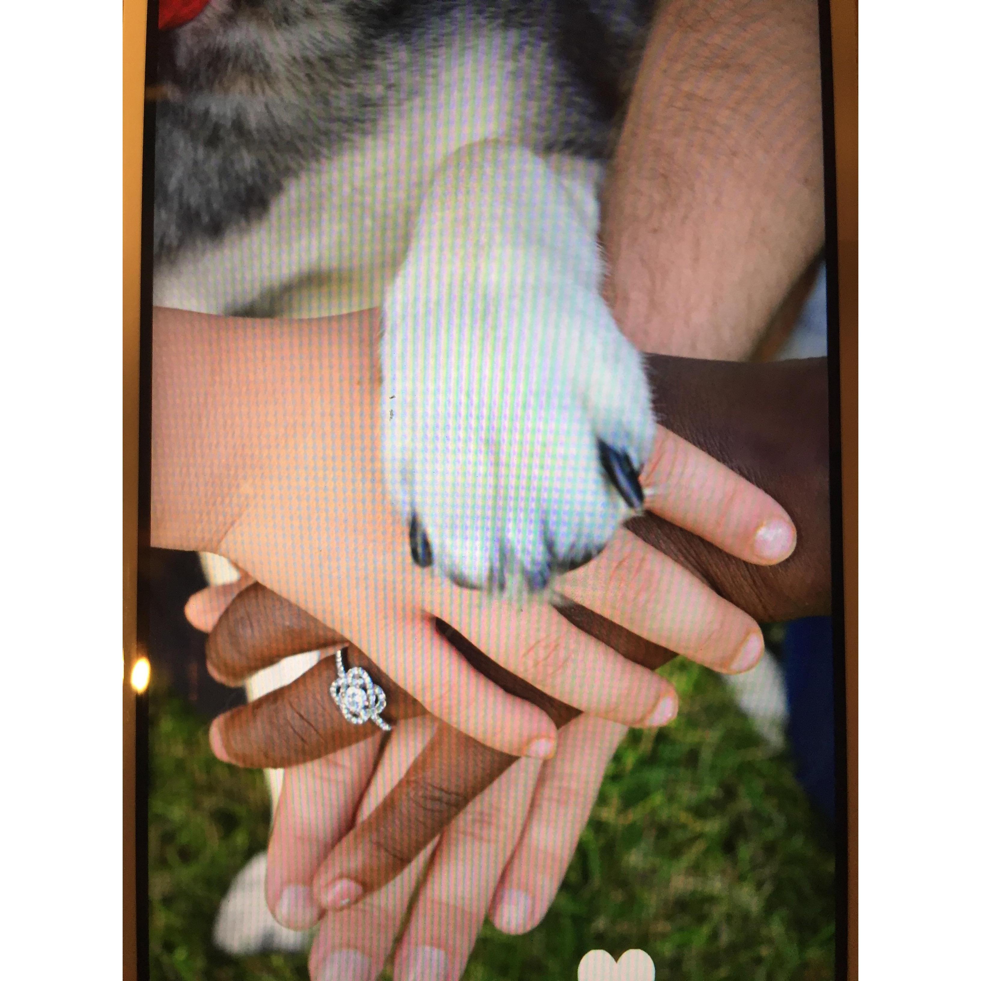 our family pack! including maya!!