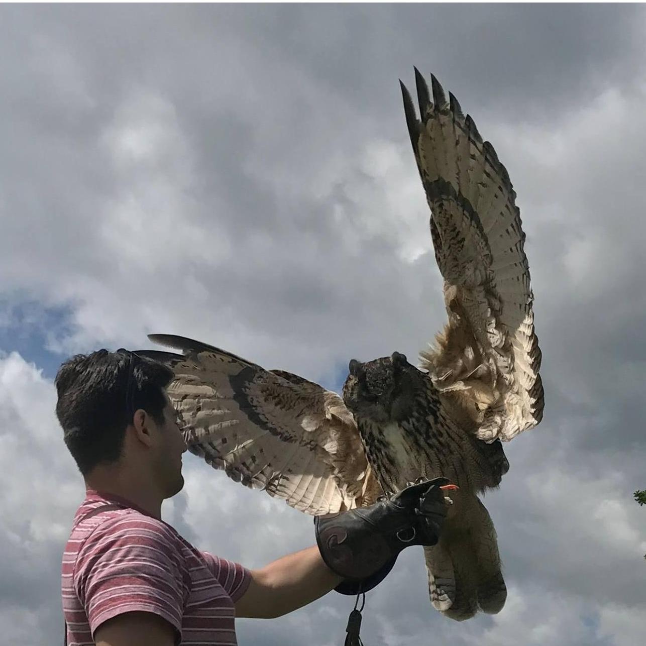 Robert poses with the eagle owl, June 2017.