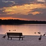 Lake Ronkonkoma County Park