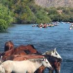 Salt River Tubing