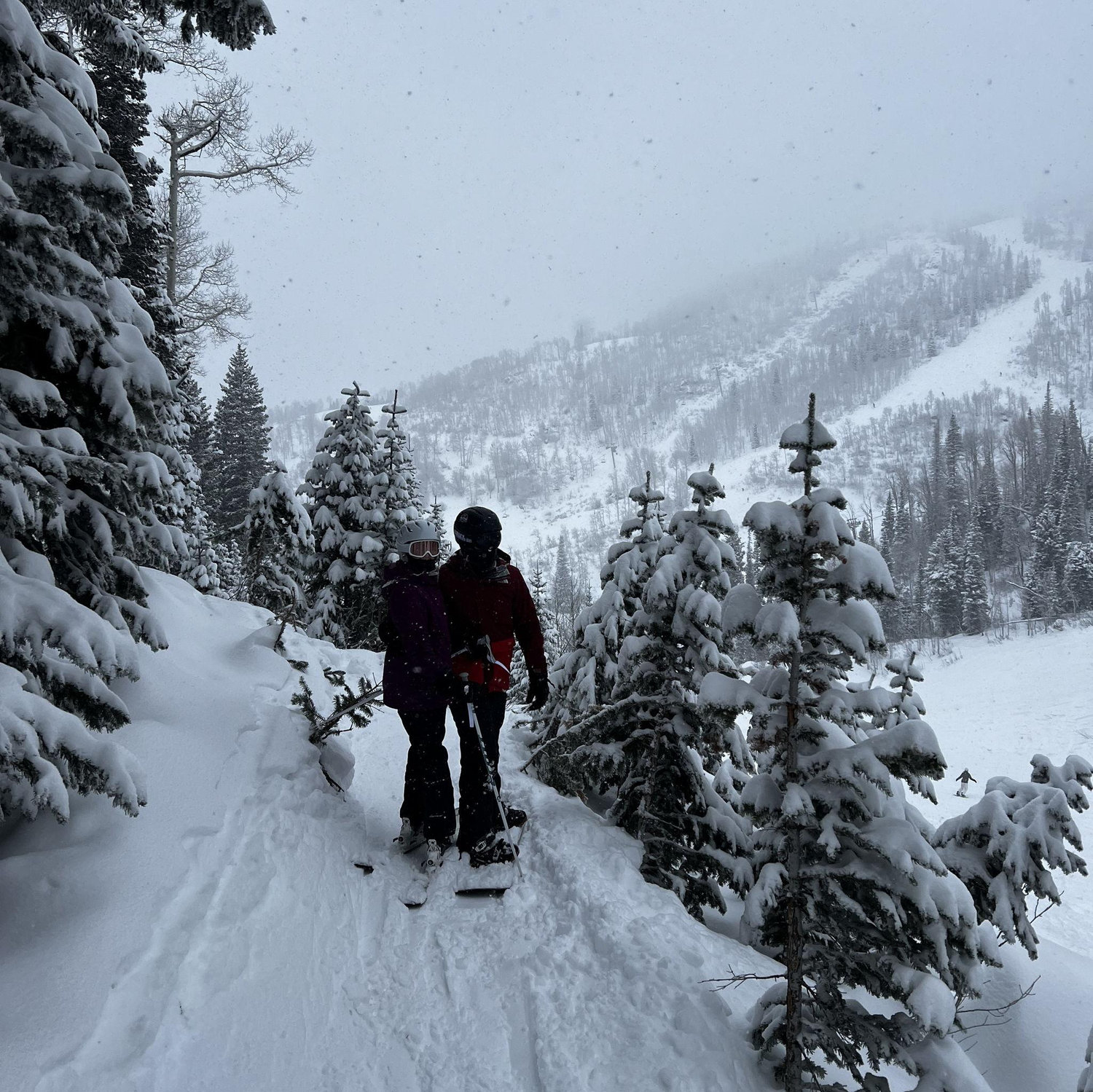 Powder day!