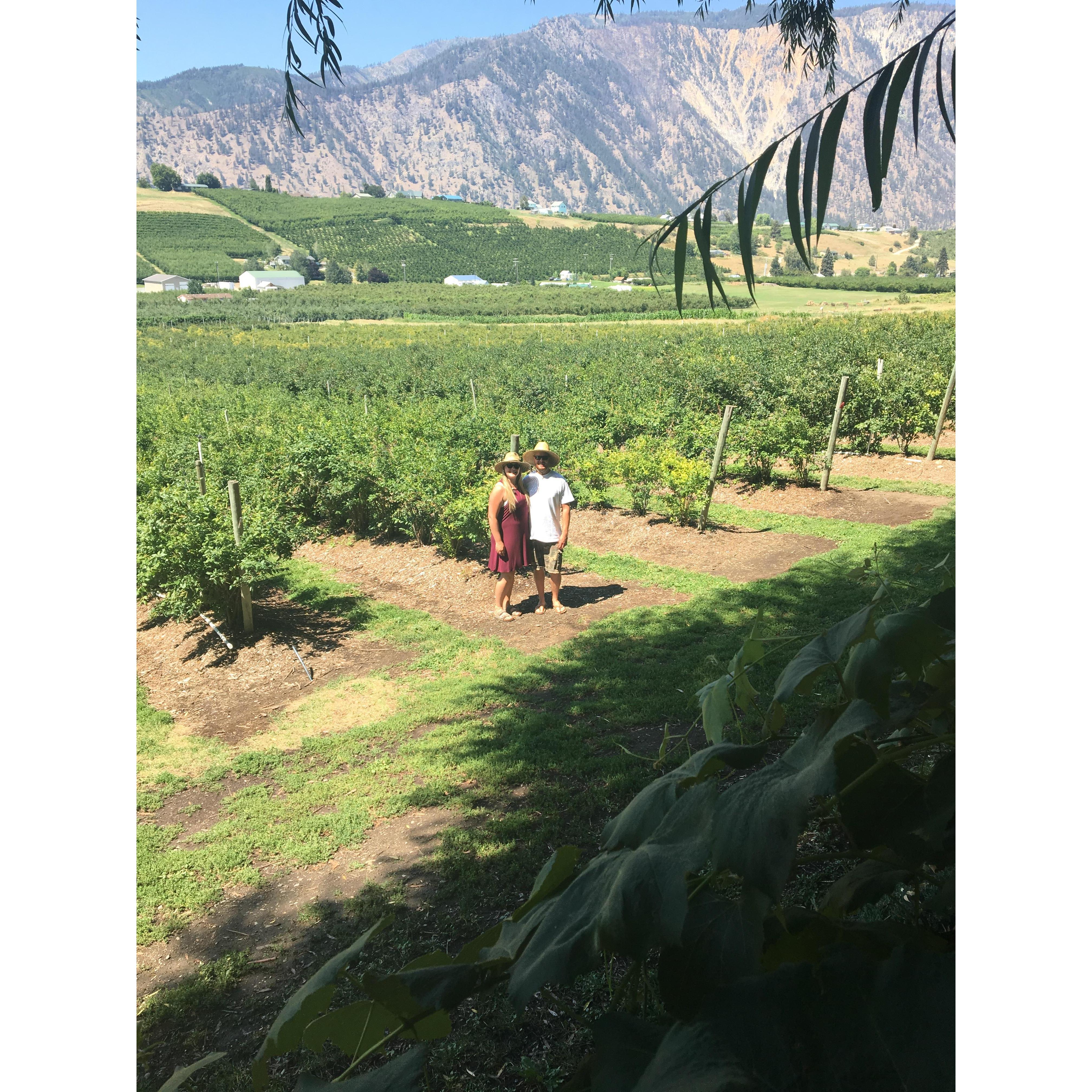 2018 Lake Chelan Wine Tasting