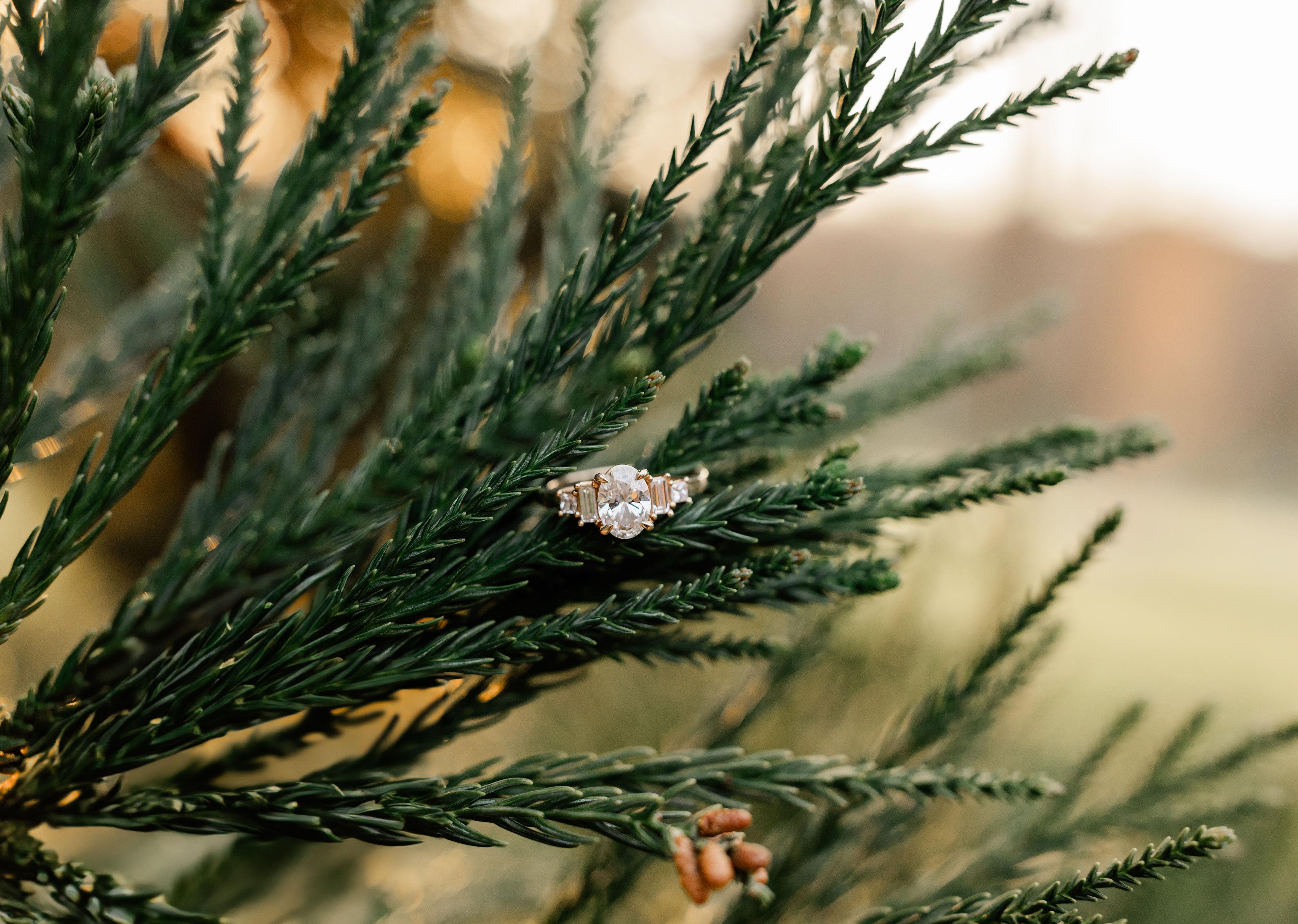 The Wedding Website of Katie Pyle and Derick Pies