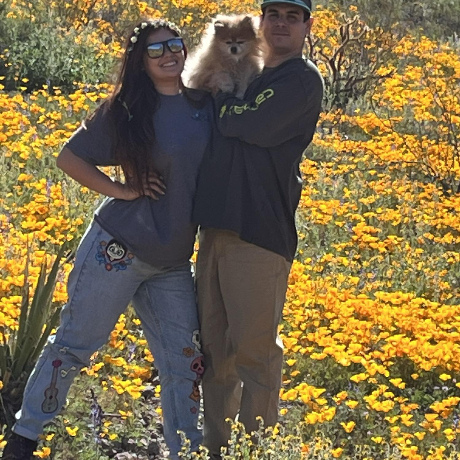 Golden Valley Arizona 2023