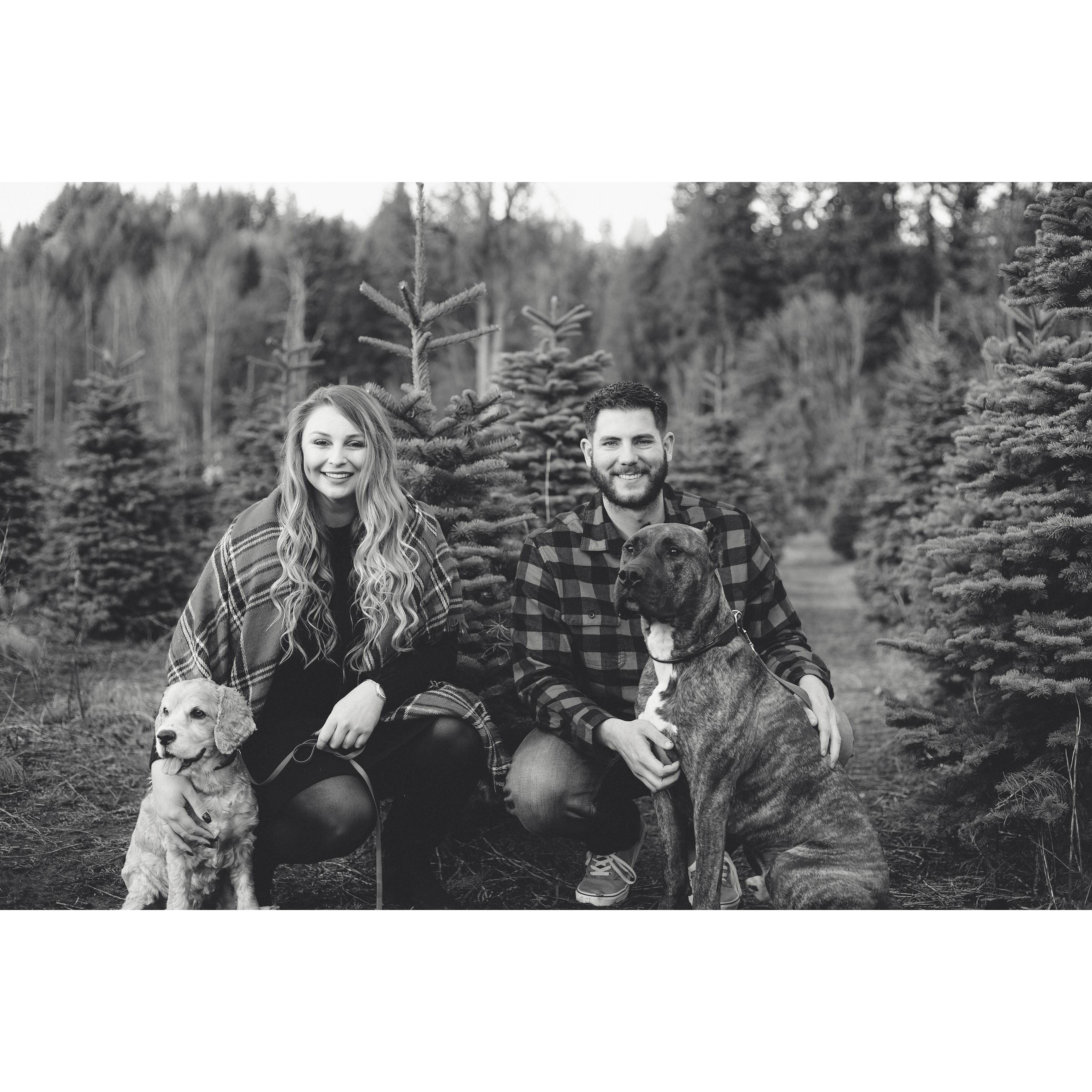 2020's Christmas photoshoot, we made it through and still like eachother!