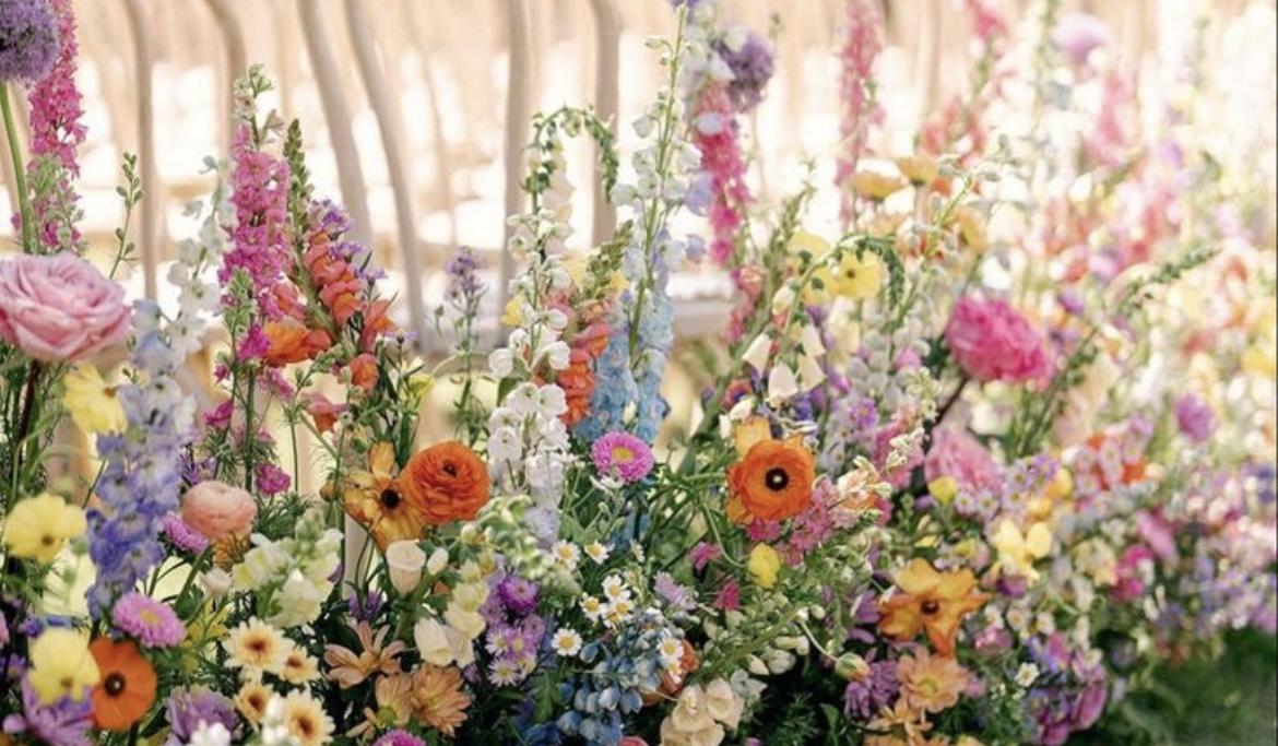 The Wedding Website of Ron Powell and Zoë Powell