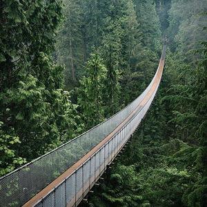 Honeymoon - Capilano Suspension Bridge