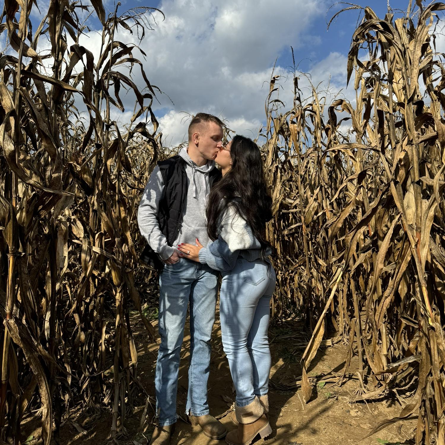 Corn maze