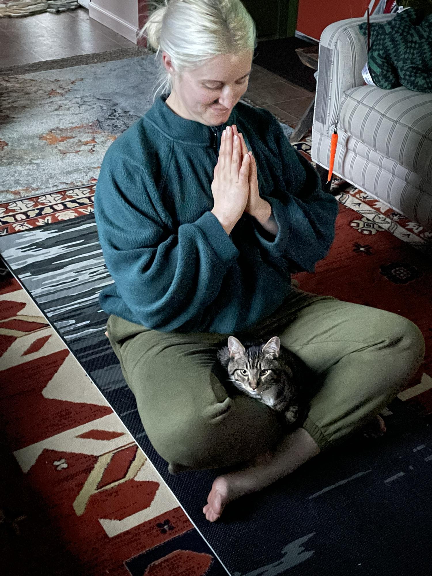Yoga kitty