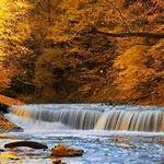 Wintergreen Gorge