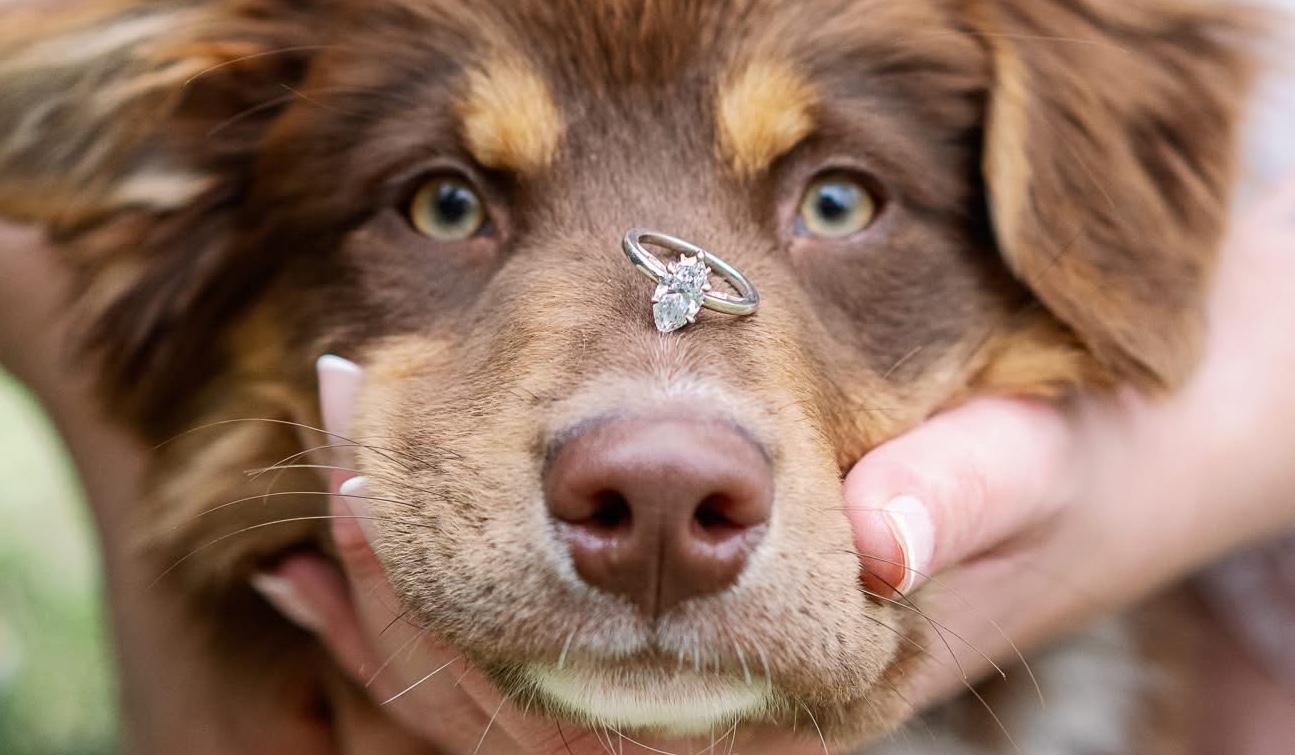 The Wedding Website of Alyssa Kruger and Justin McKee