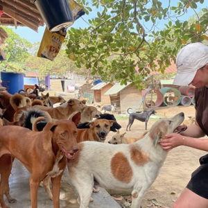 Dog Shelter Fund