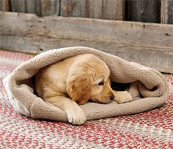 Burrower Blanket