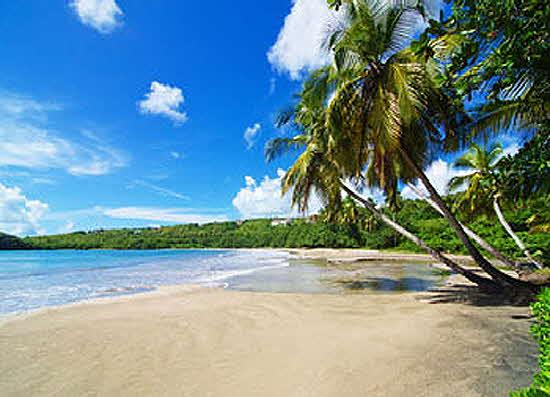 4e0cb46c-a1f6-46e0-b2e0-db1dbb7e5cb4