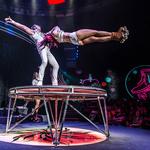 WOW - The Vegas Spectacular