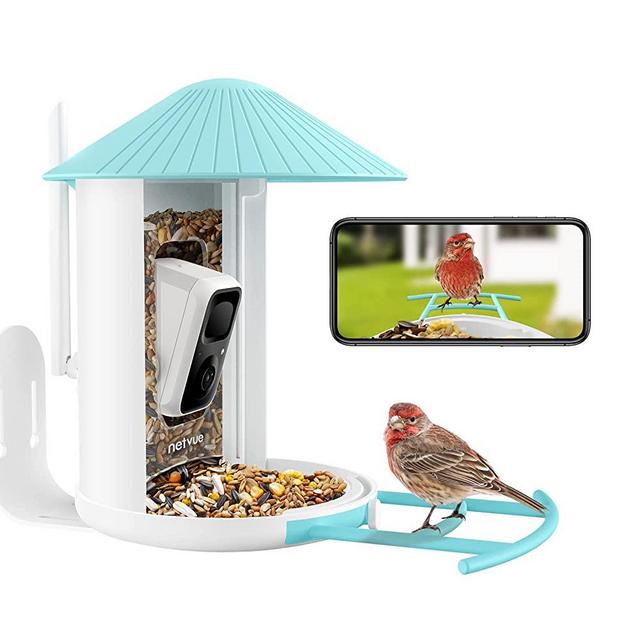 NETVUE Birdfy Lite- Smart Bird Feeder Camera, Bird Watching Camera Auto Capture Bird Videos & Motion Detection, Bird House Camera, Ideal Gift for Family