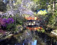 Descanso Gardens