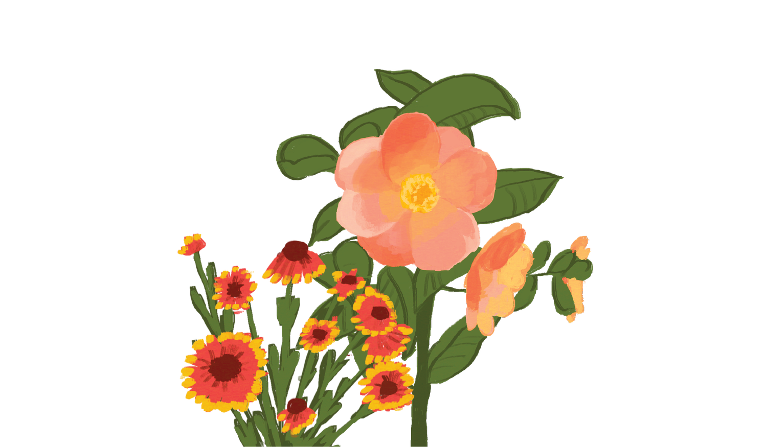 Footer image