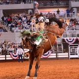 Fort Worth Stockyards