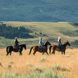 Horseback ride