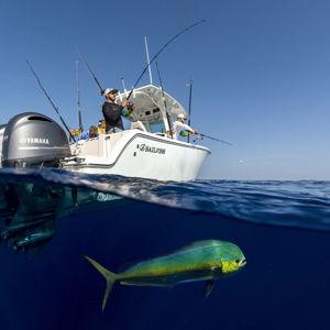 Key West Excursion Fund