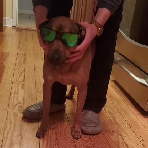 Styling & Profiling