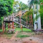 Unilorin Zoo