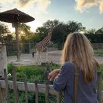 ZooTampa at Lowry Park