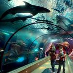 Oregon Coast Aquarium