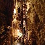 Moaning Caverns Adventure Park