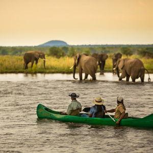 Water Safari Experience