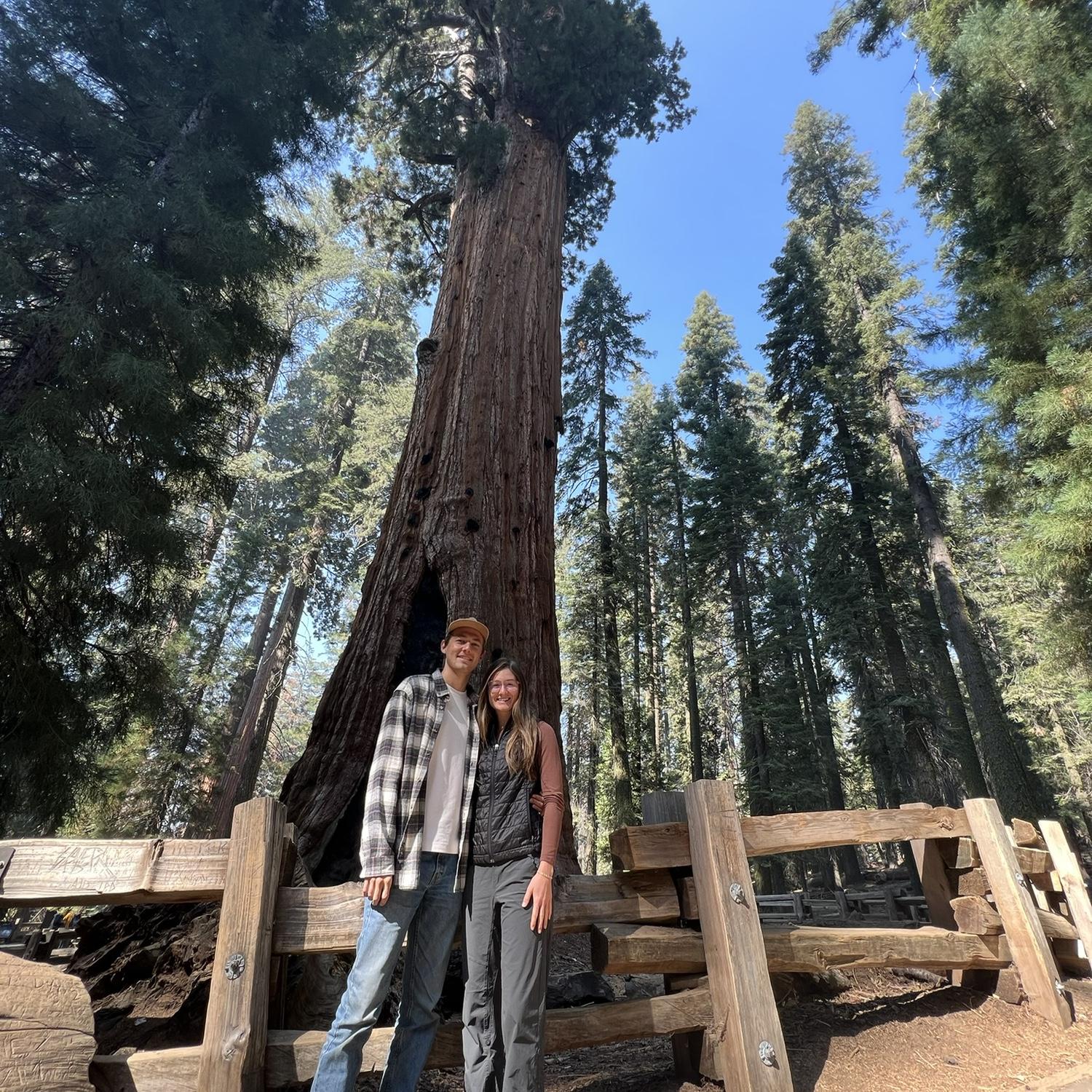Sequoia National Park 2023