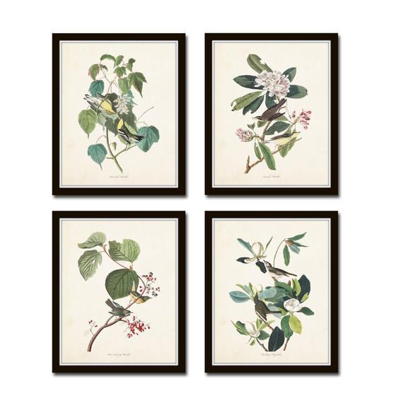 Audubon Bird Prints Set No. 16, Botanical Prints Set of 4