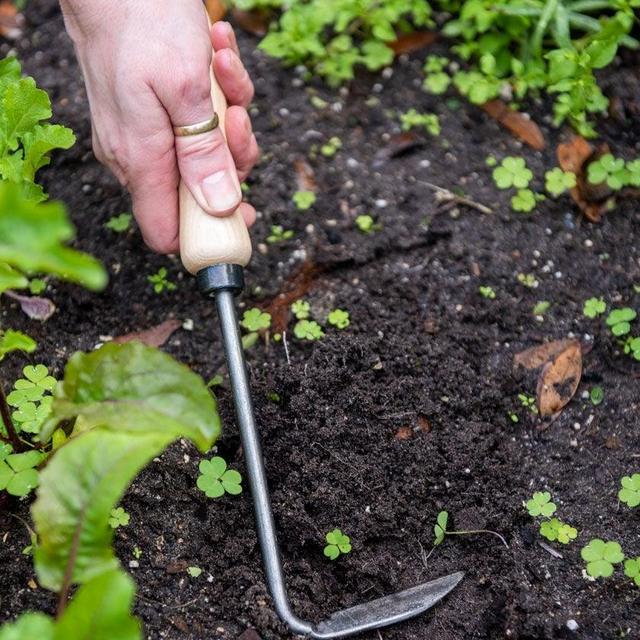 Gardener's Lifetime Cape Cod Weeder, Right-Handed