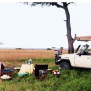 Serengeti Game Drive & Picnic Lunch