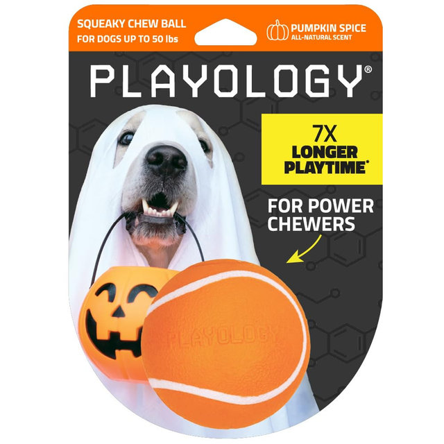 Playology Dog Toys | Squeaky Chew Ball for Dogs | Pumpkin Spice Scented Medium Dog Ball | Bouncy Floating Dog Balls with Limited Edition Fall Scent