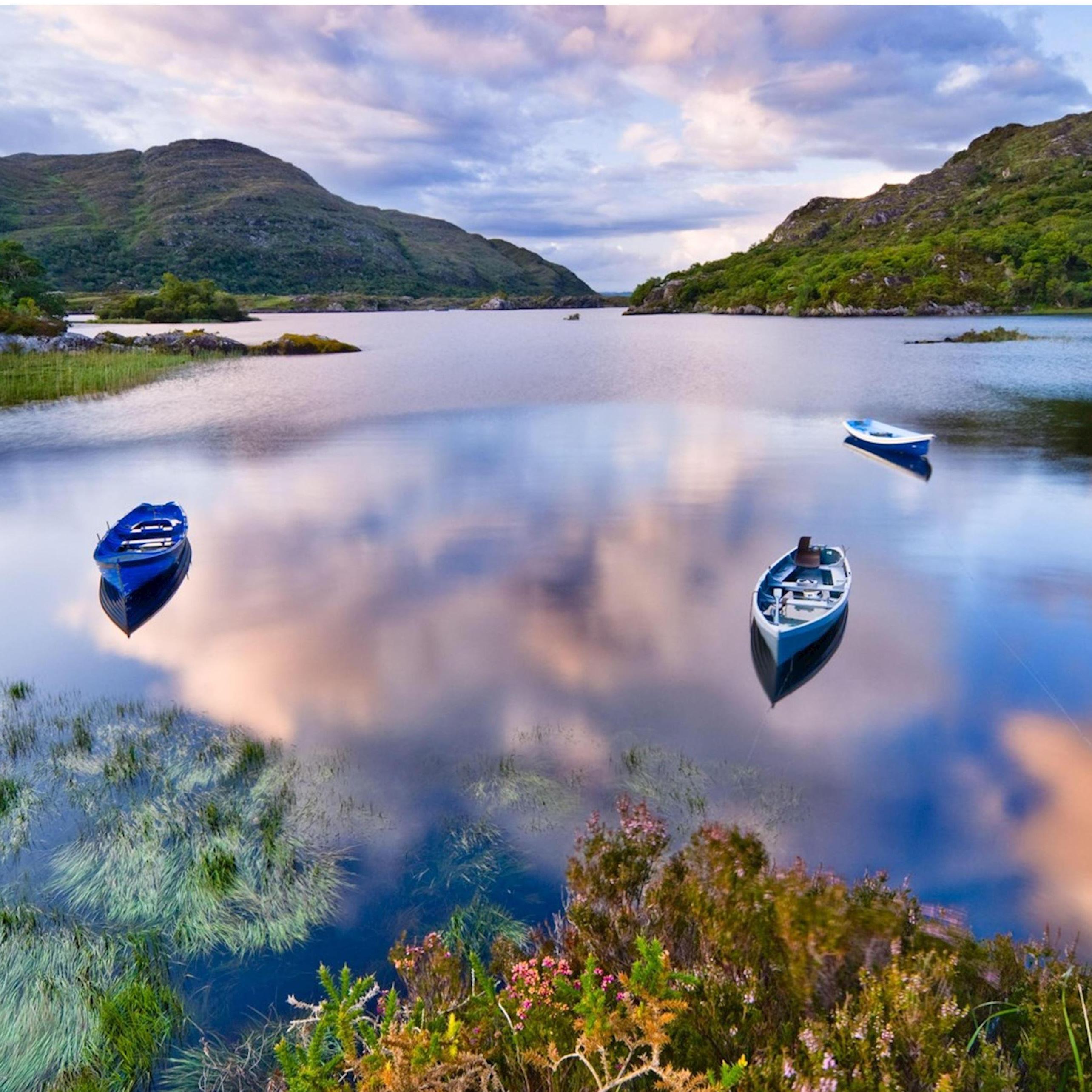 The Lakes of Killarney