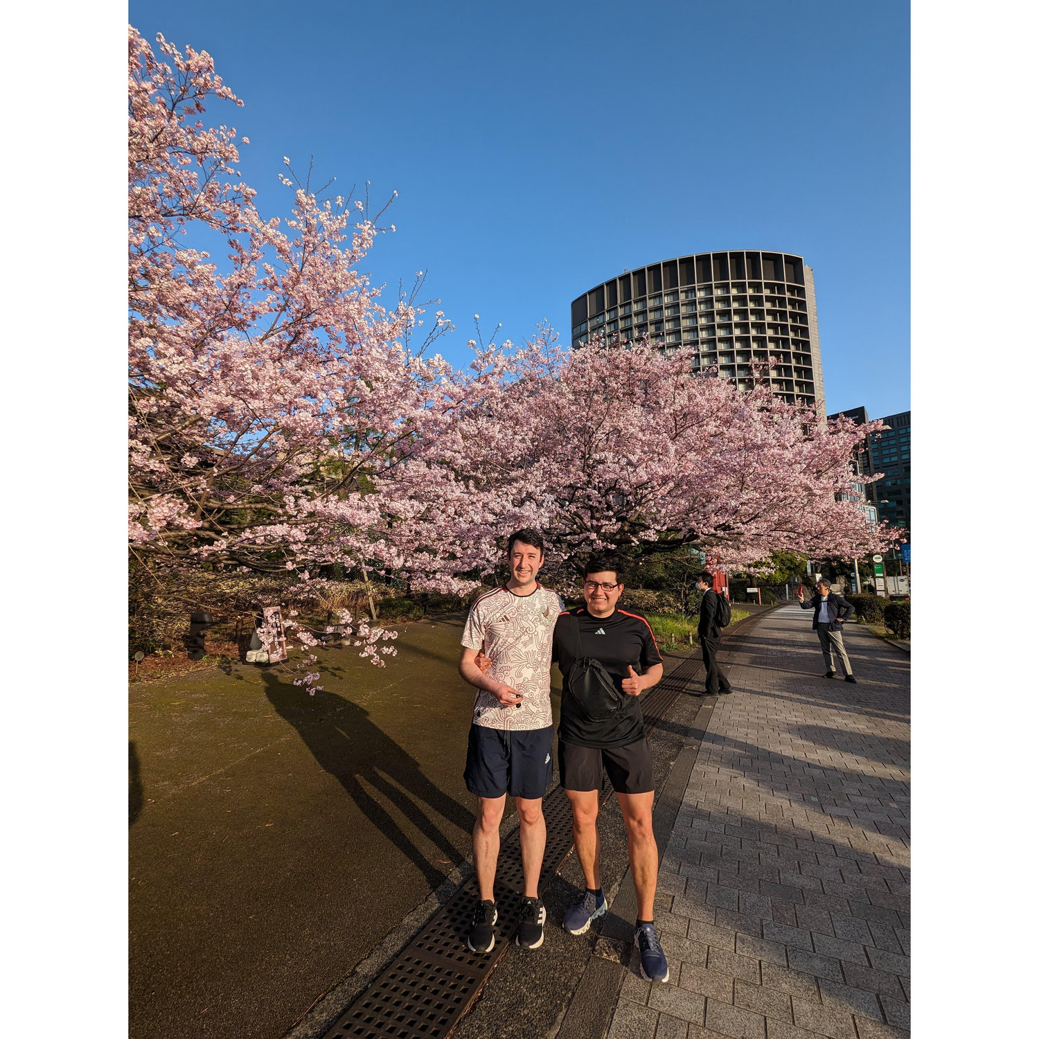 Running with sakuras