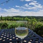 50 West Vineyards