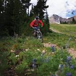 Other Outdoor Activities
