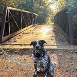 Gary Halter Nature Center