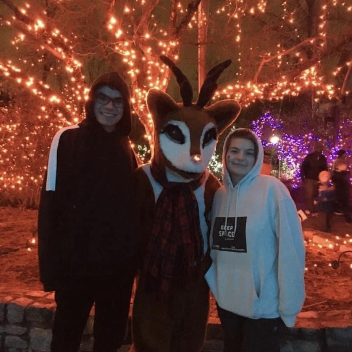Zoo Festival of Lights